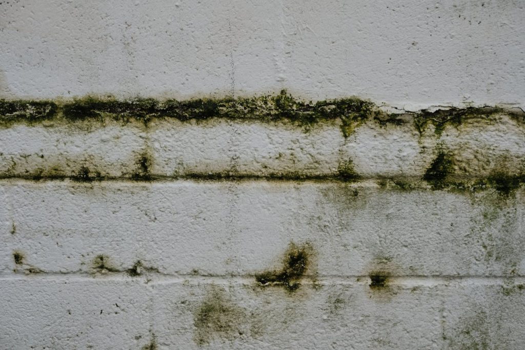 Close-up of an aged mossy brick wall in Greystoke, England.